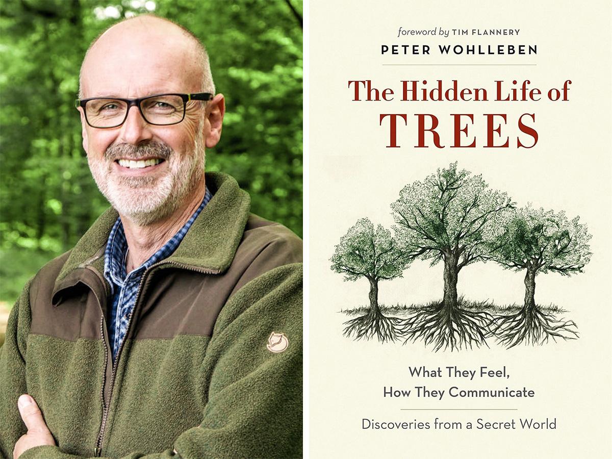 Earth Day reading: The Hidden Life of Trees